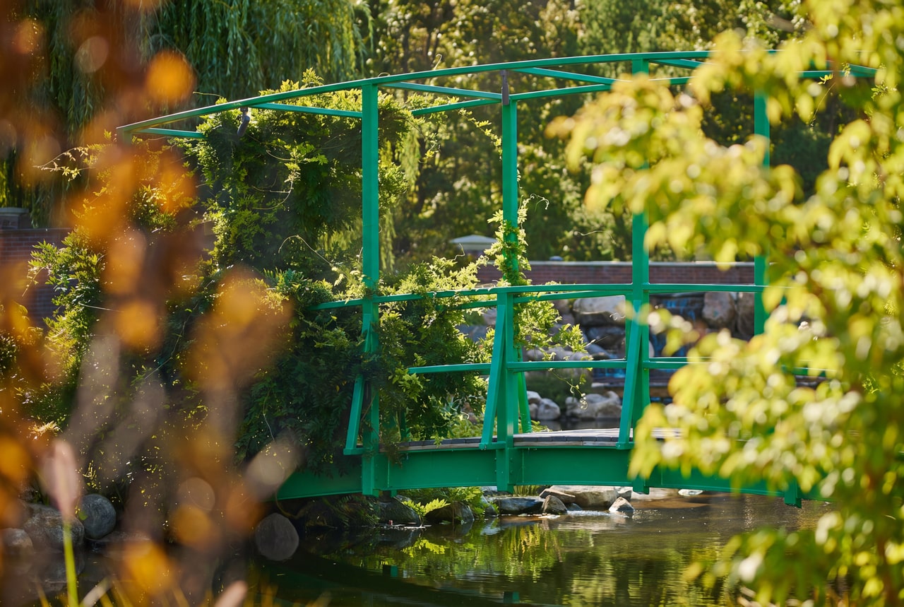Green arched footbridge threaded with climbing vines over the pond in the Gardens at Pillar and Post.